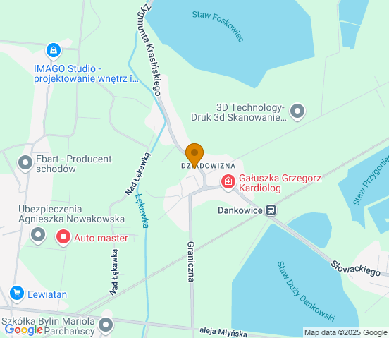 Mapa dojazdu do warsztatu samochodowego w miejscowości Dankowice